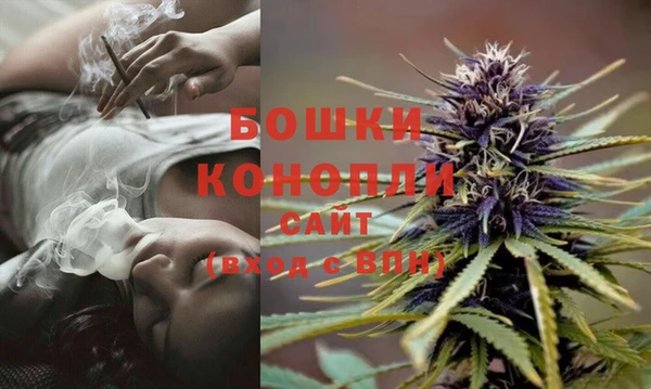 наркотики Белокуриха